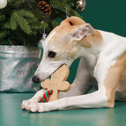 Gingerbread Dog Teething Toy